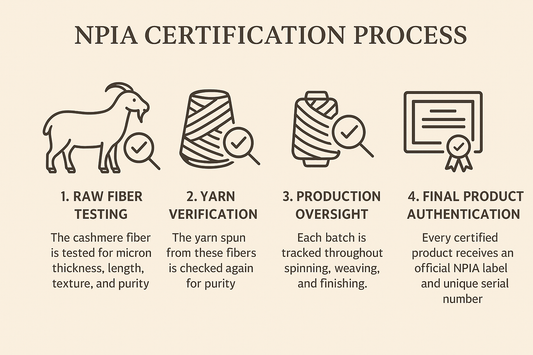 Learn More About NPIA Certification