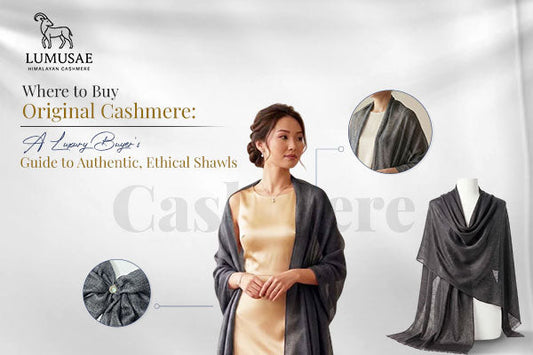 Where to Buy Original Cashmere: A Luxury Buyer’s Guide to Authentic, Ethical Shawls