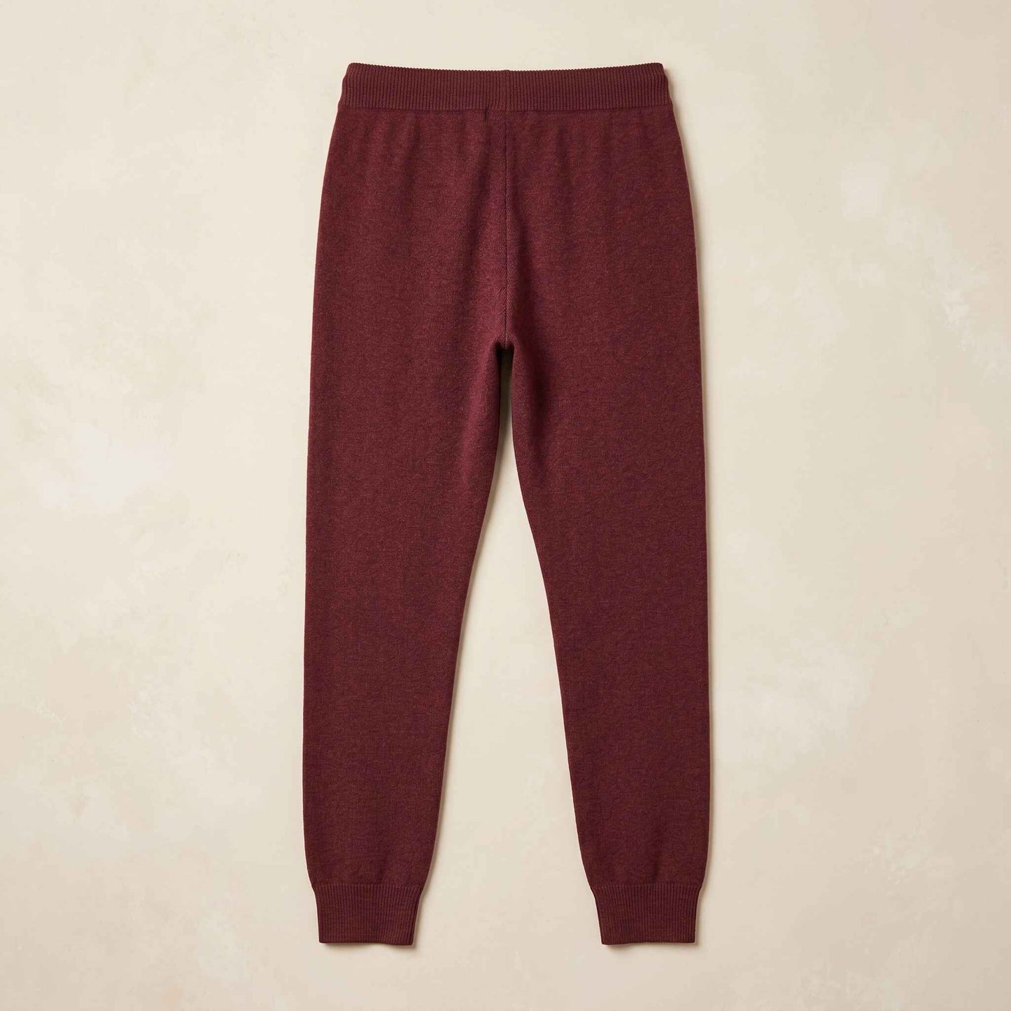 The Zenith Himalayan Cashmere Jogger For Women