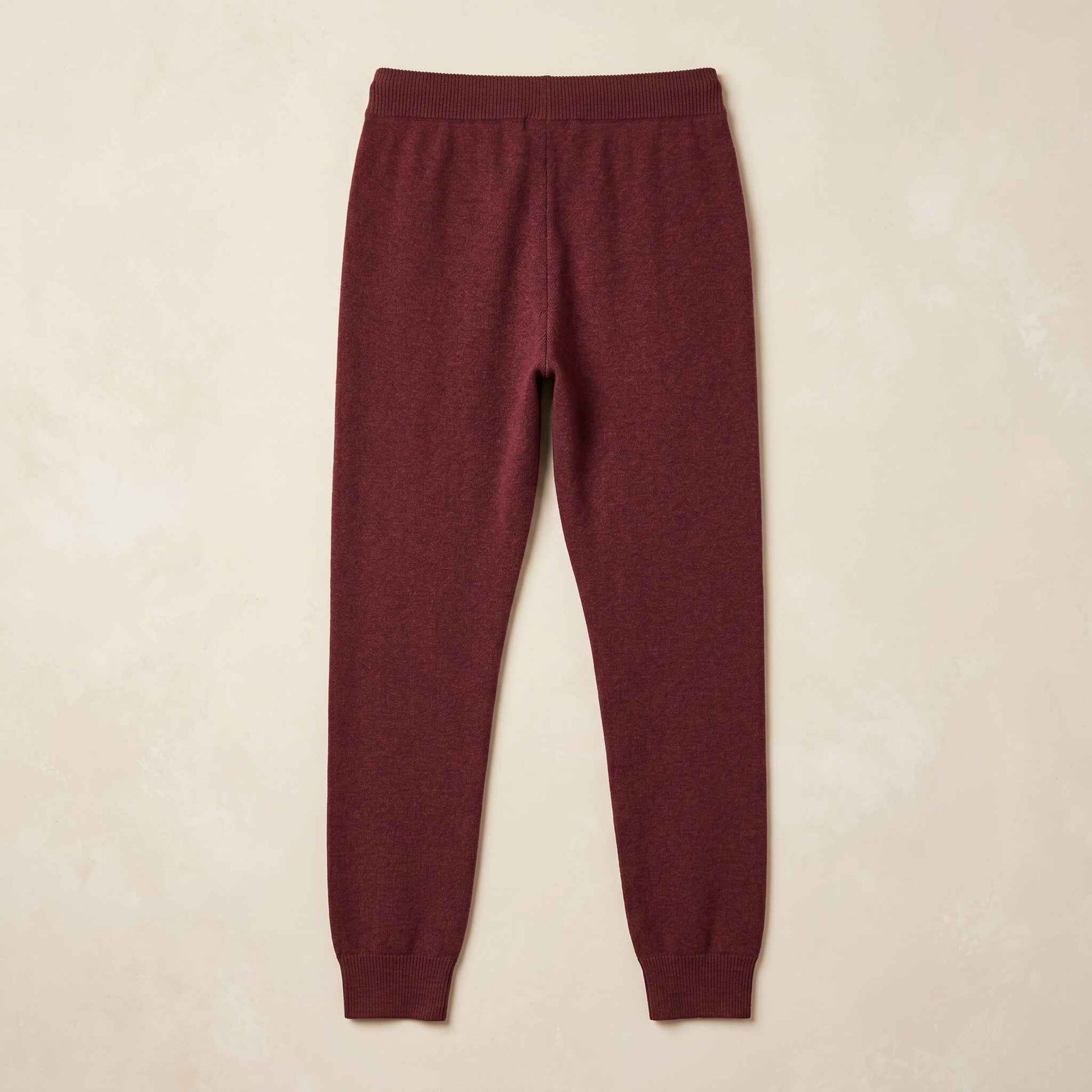 The Zenith Himalayan Cashmere Jogger For Women