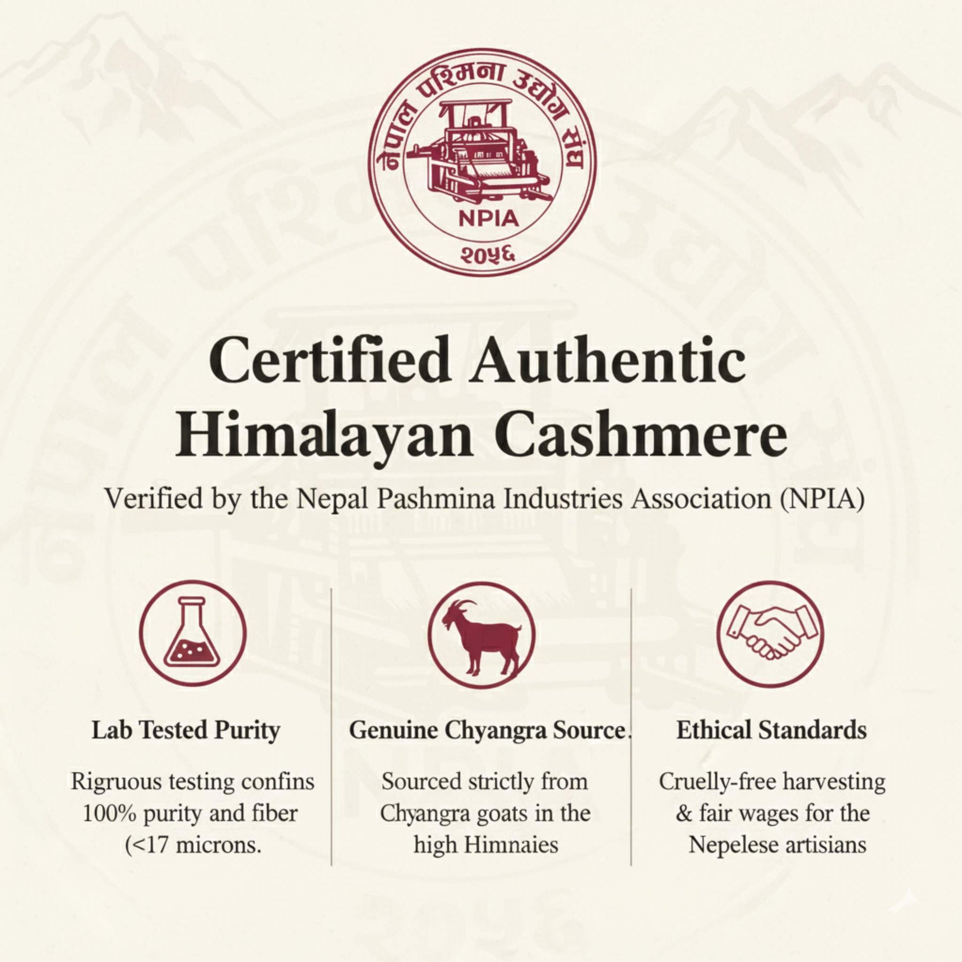 V - Neck Undyed Cashmere Sweater For Women