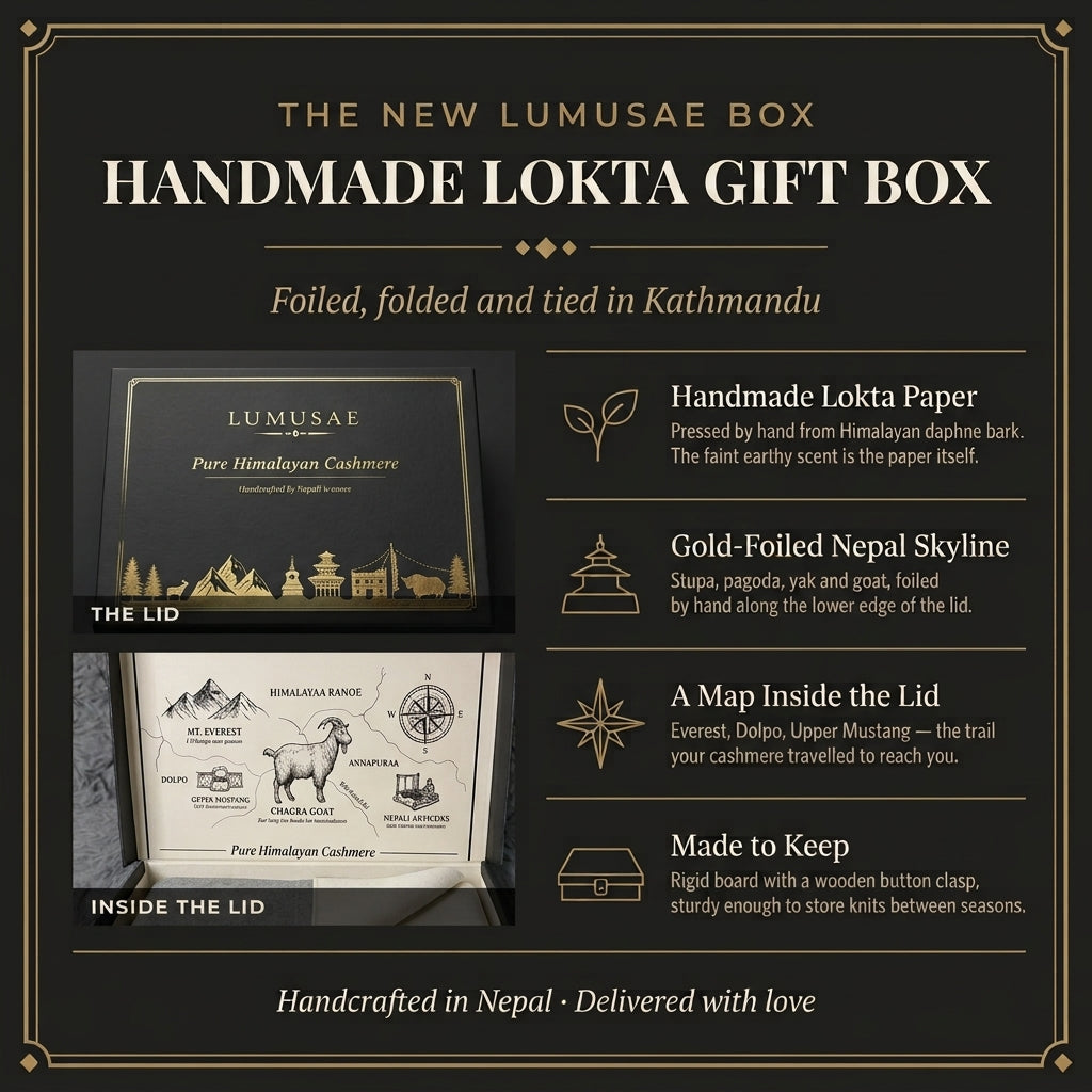 Lumusae premium packaging experience