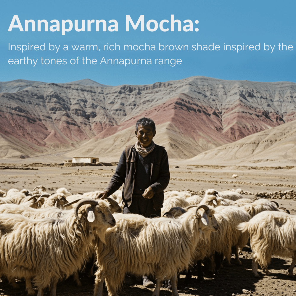 NPIA Certified 100% Pure Himalayan Cashmere Pashmina Shawl - Upper Dolpo Annapurna Mocha - Lumusae